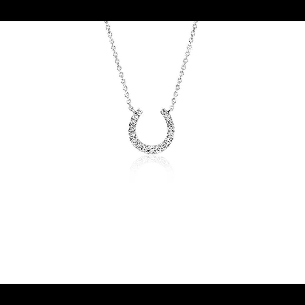 Blue Nile Mini Horseshoe Diamond Necklace